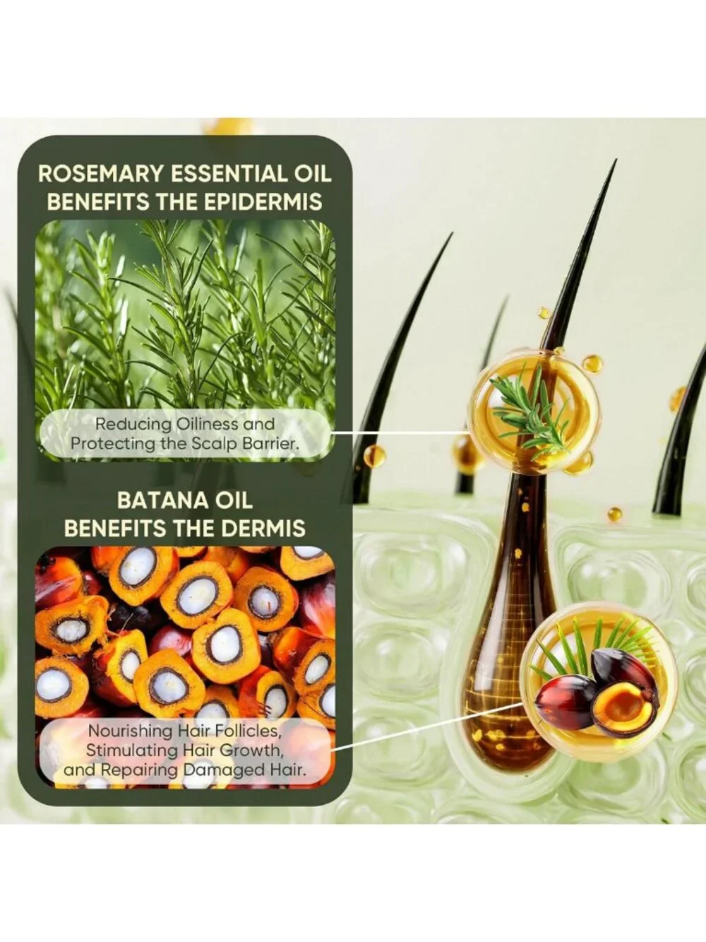 Revitalizing Batana Oil Shampoo & Conditioner Set for Hair Growth & Repair 300ml