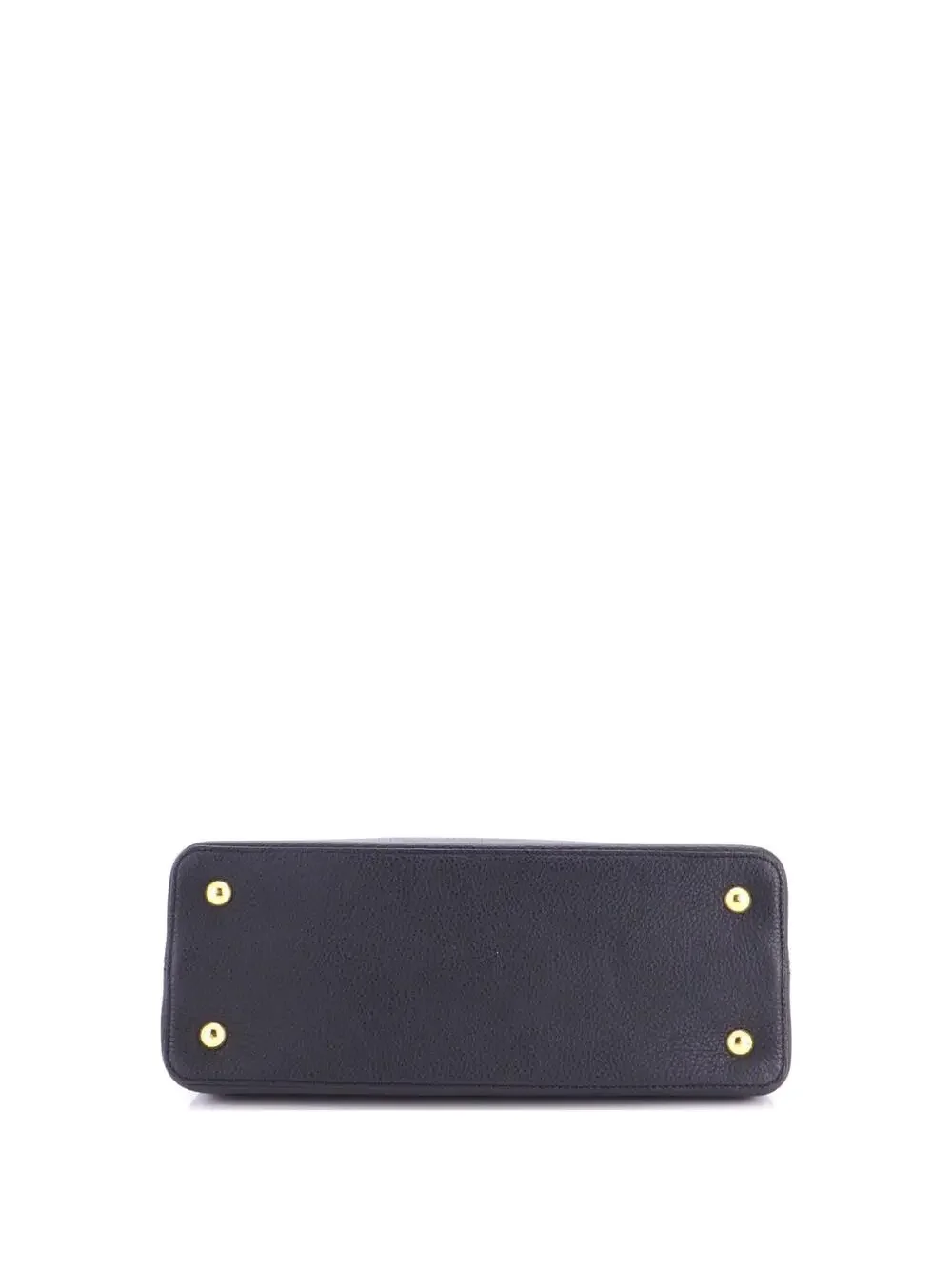Louis Vuitton introducing louis