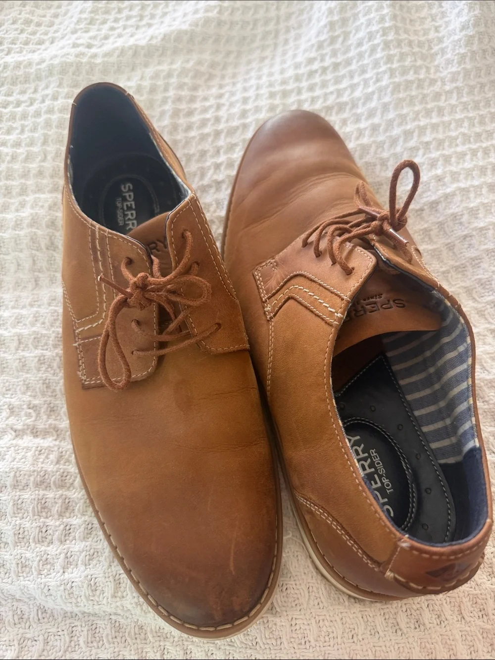 Sperry stylish chukka