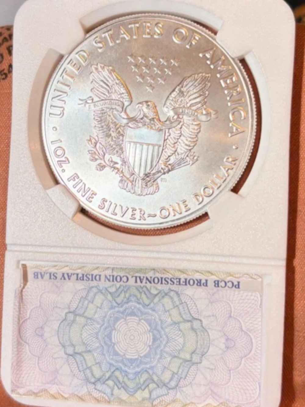 Us Mint 2020 walking