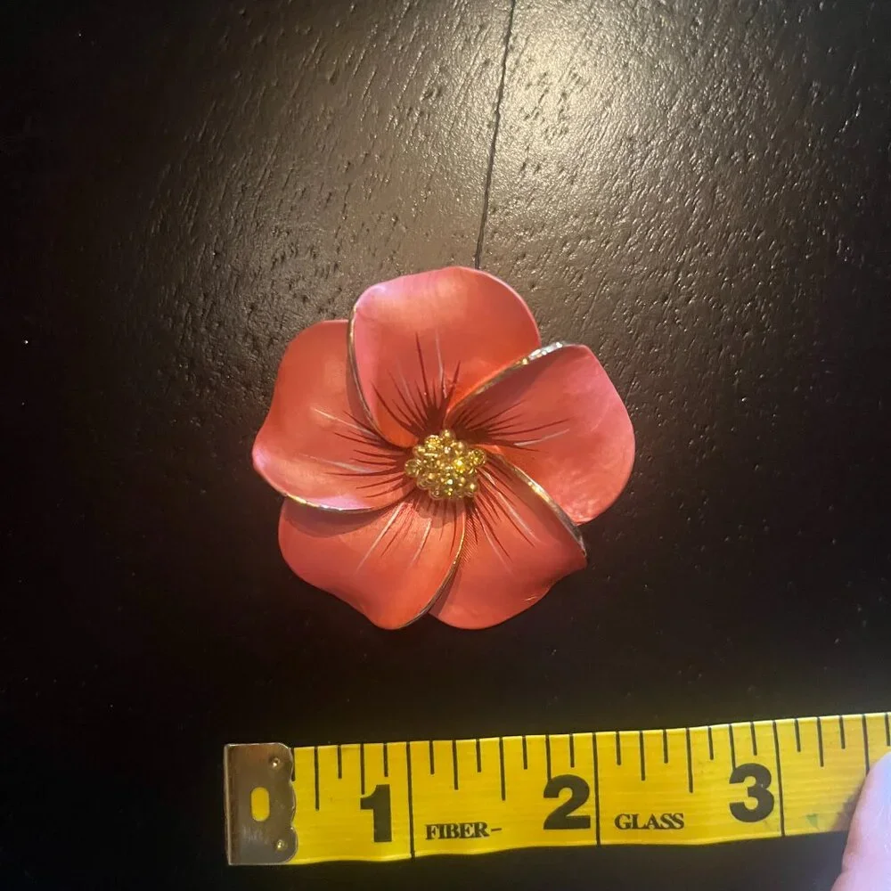 Ruccini peach plumeria