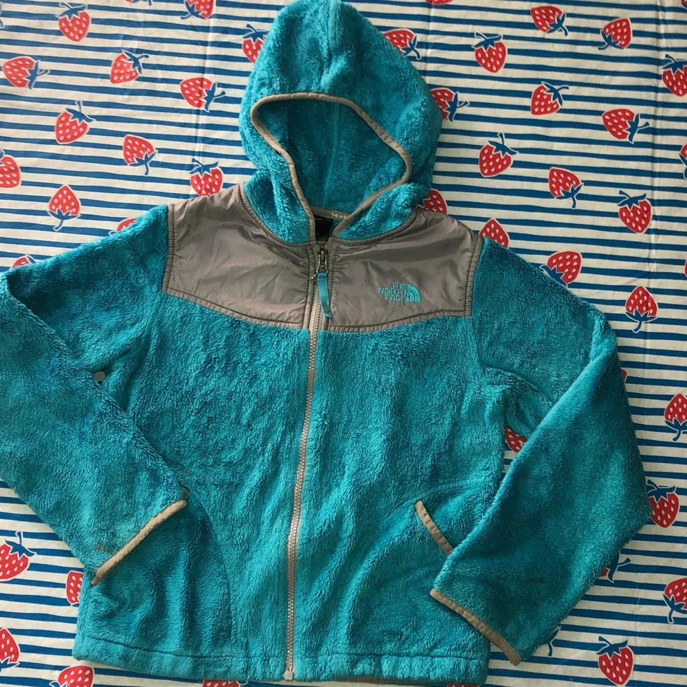 The North Face north face