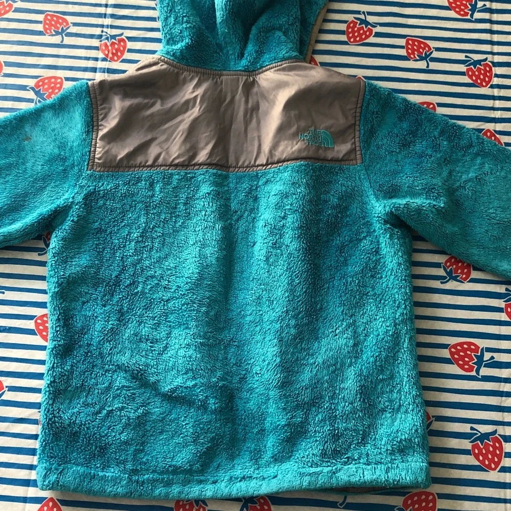 The North Face north face