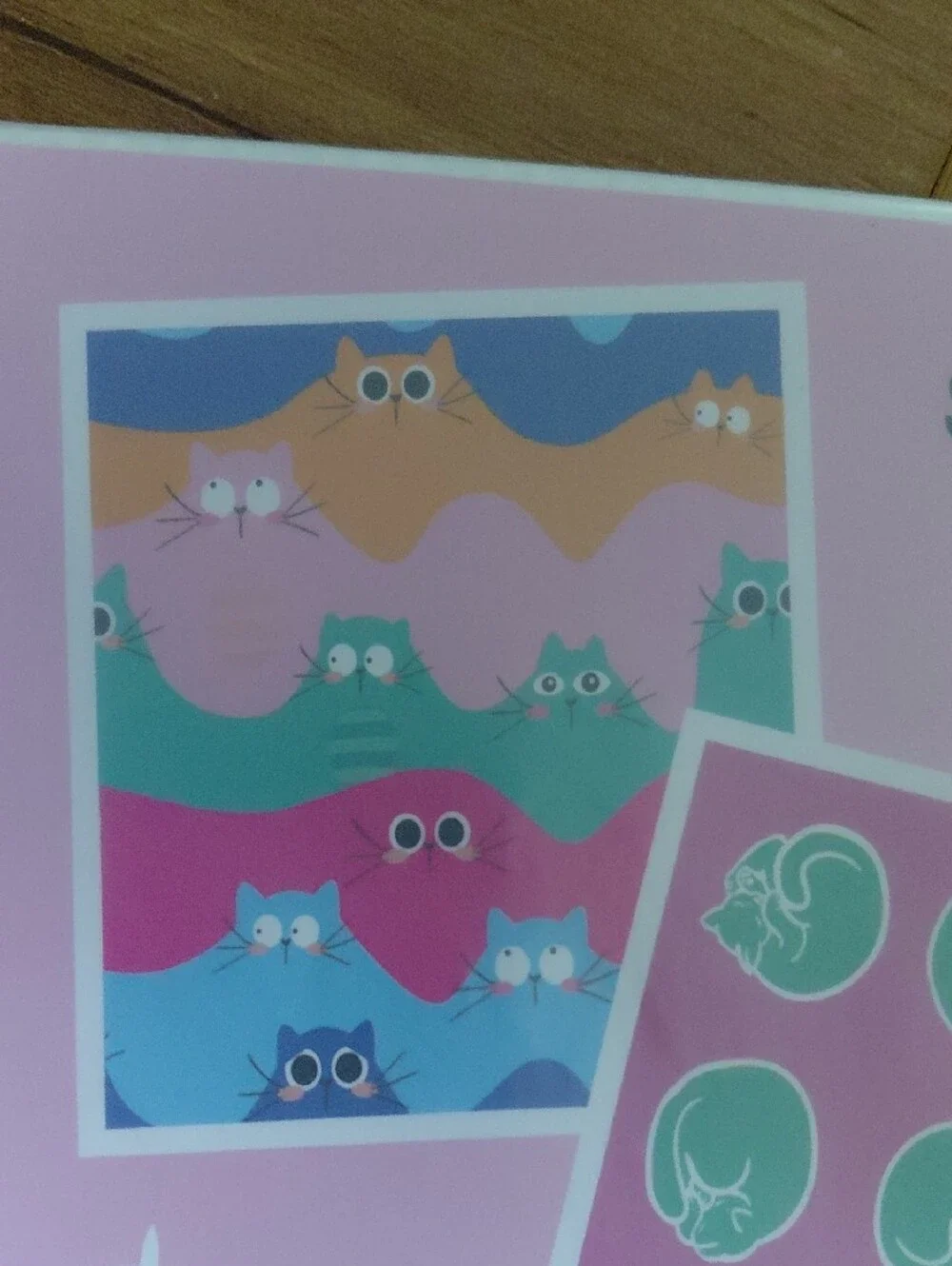cat lady catlady swedish