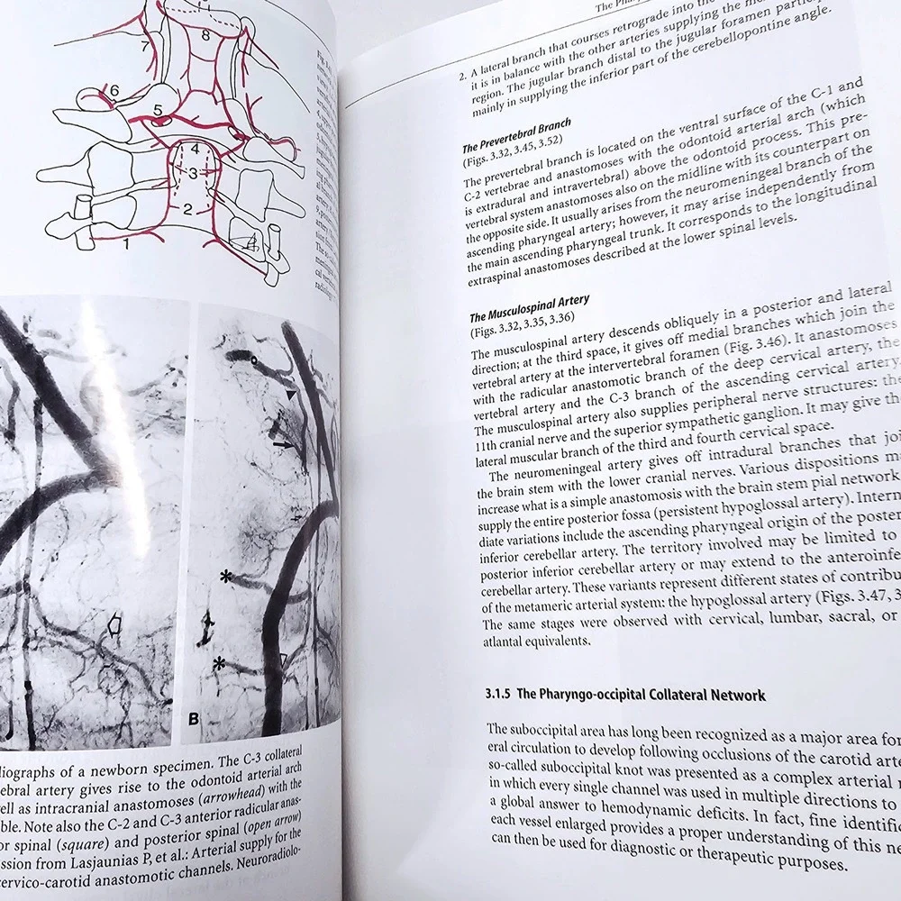Springer surgical neuro