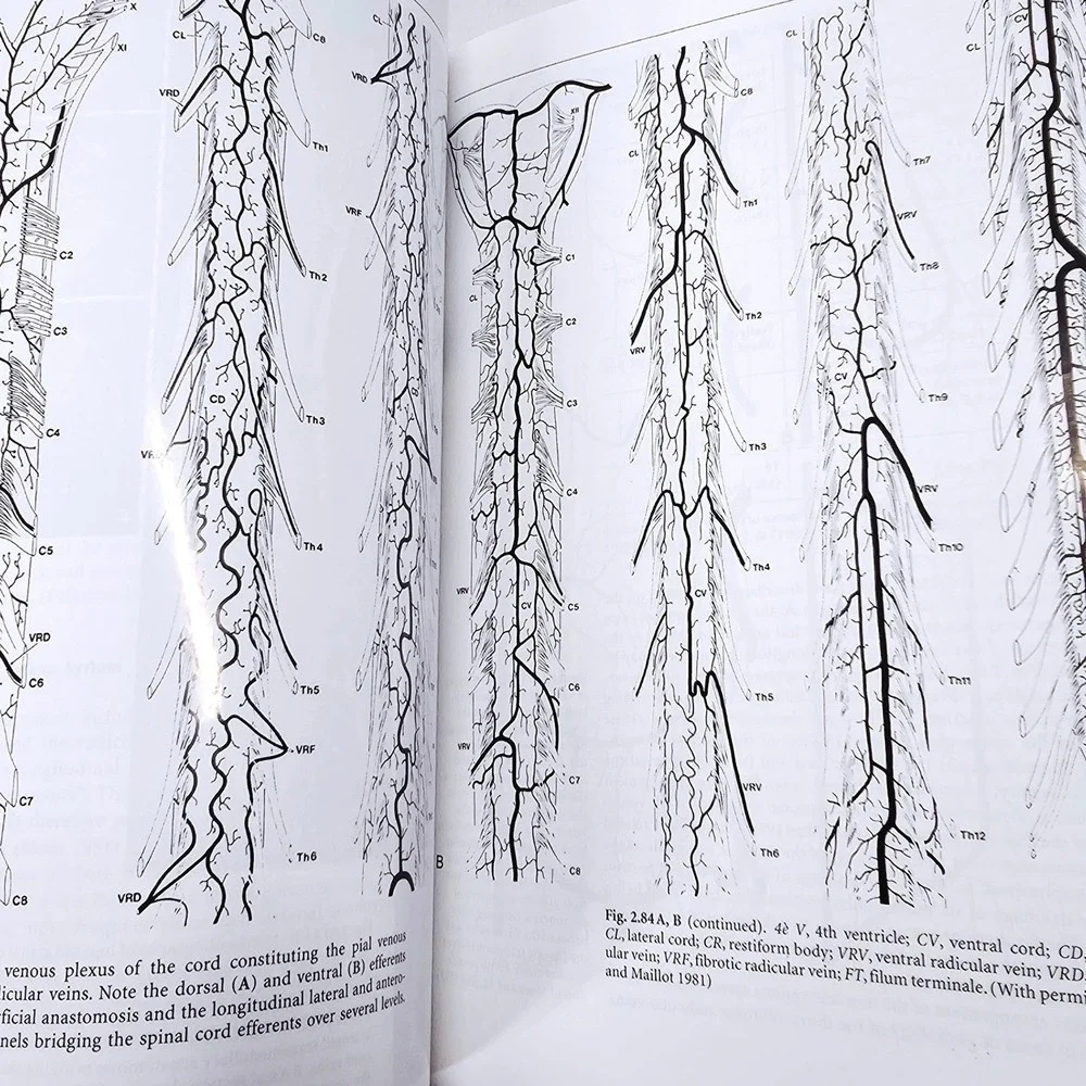 Springer surgical neuro