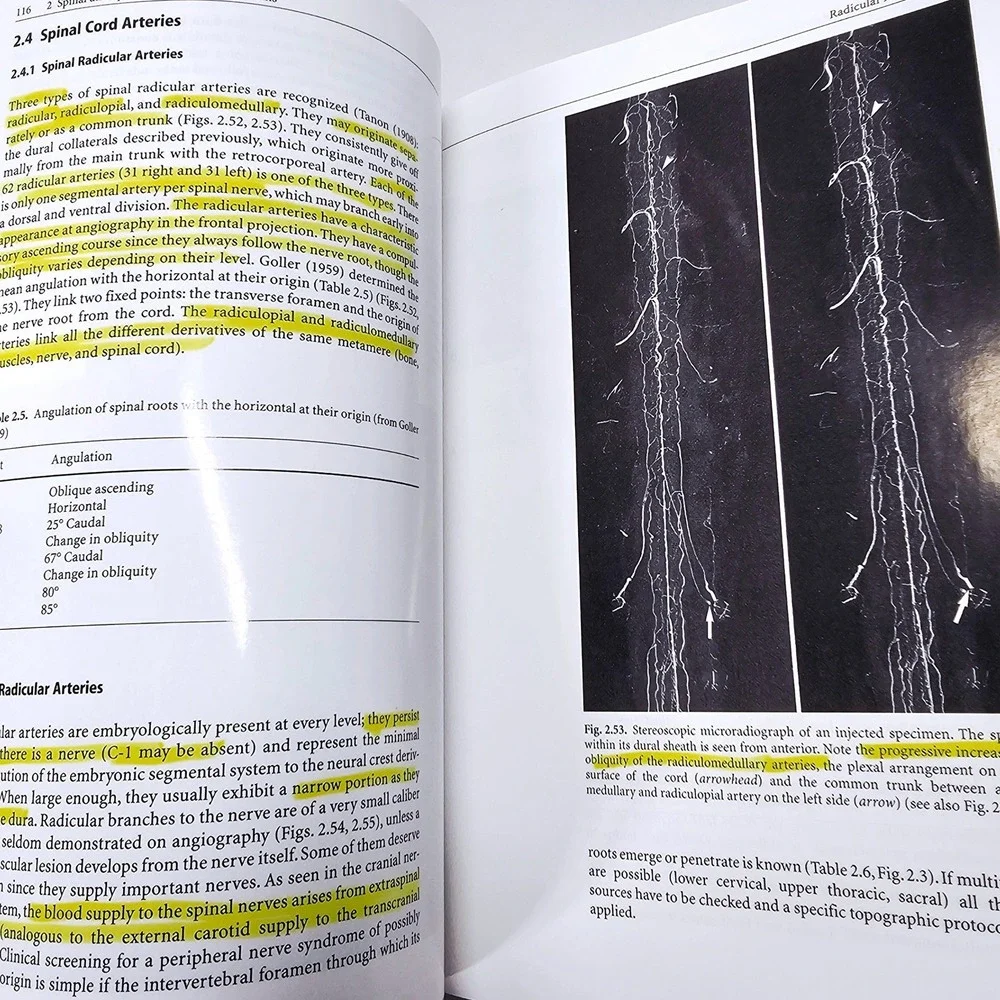 Springer surgical neuro