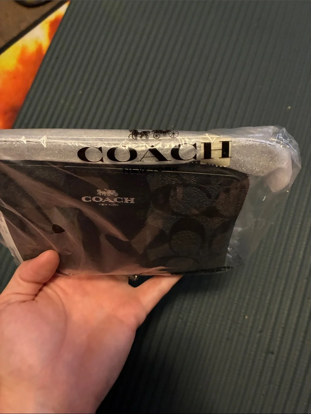 Coach zip around