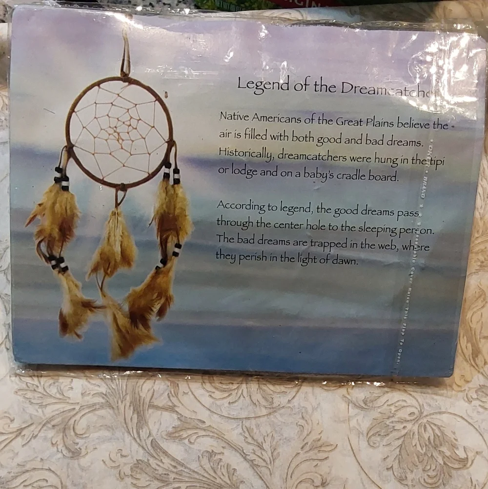 Dreamcatcher Wall Art with Feathers & Chrome Bars‎