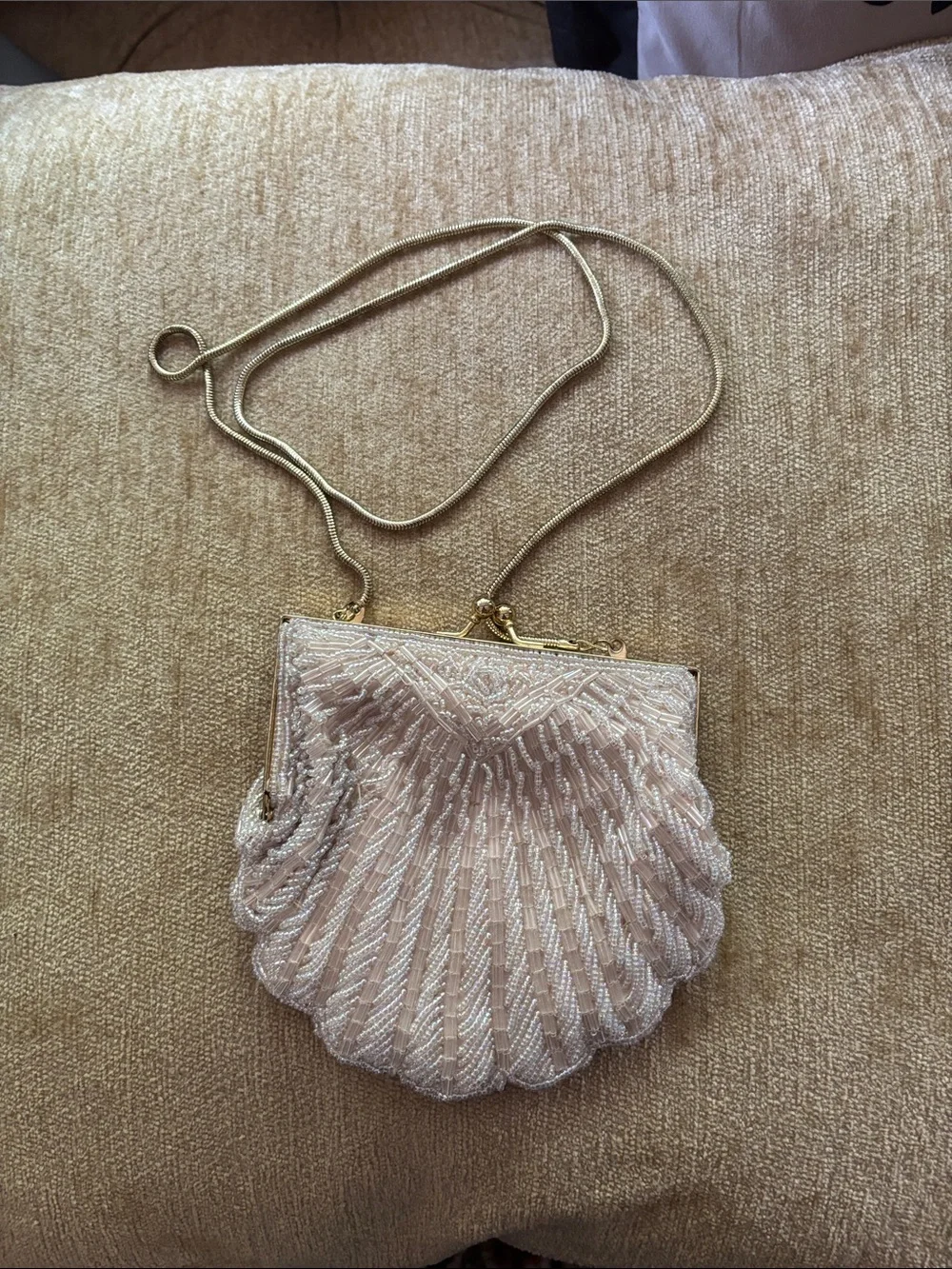 Beaded Shell Evening Crossbody Bag in Pearl
