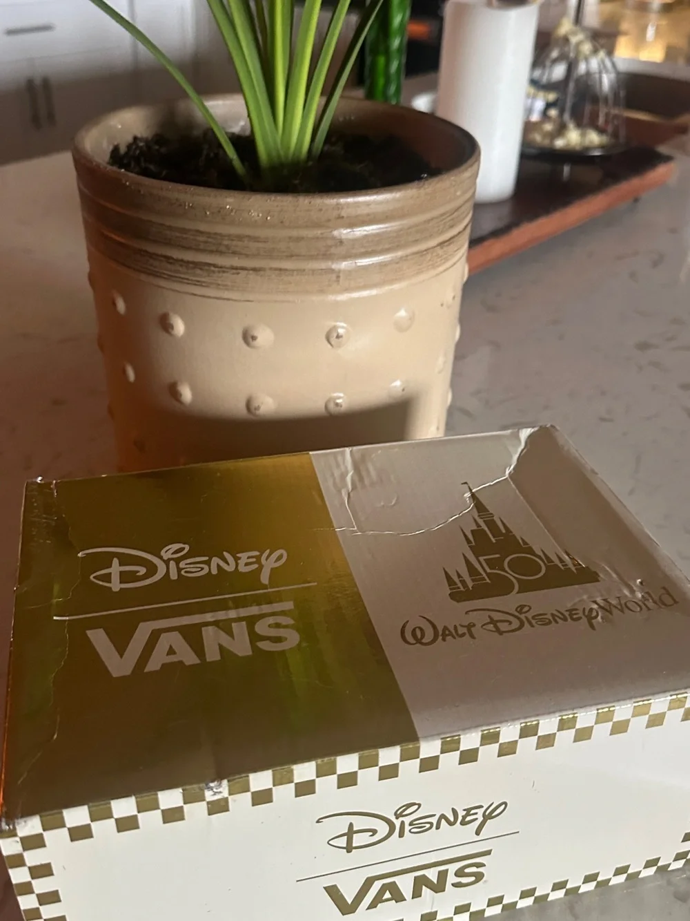 Vans playful kids