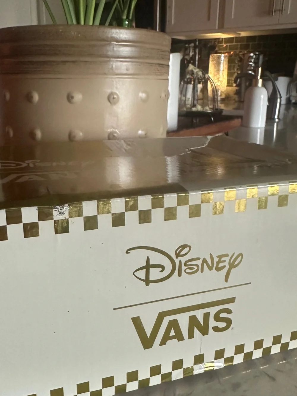 Vans playful kids