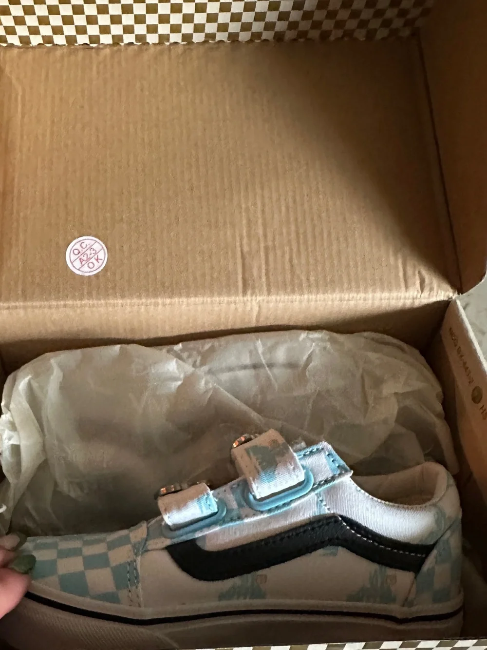 Vans playful kids