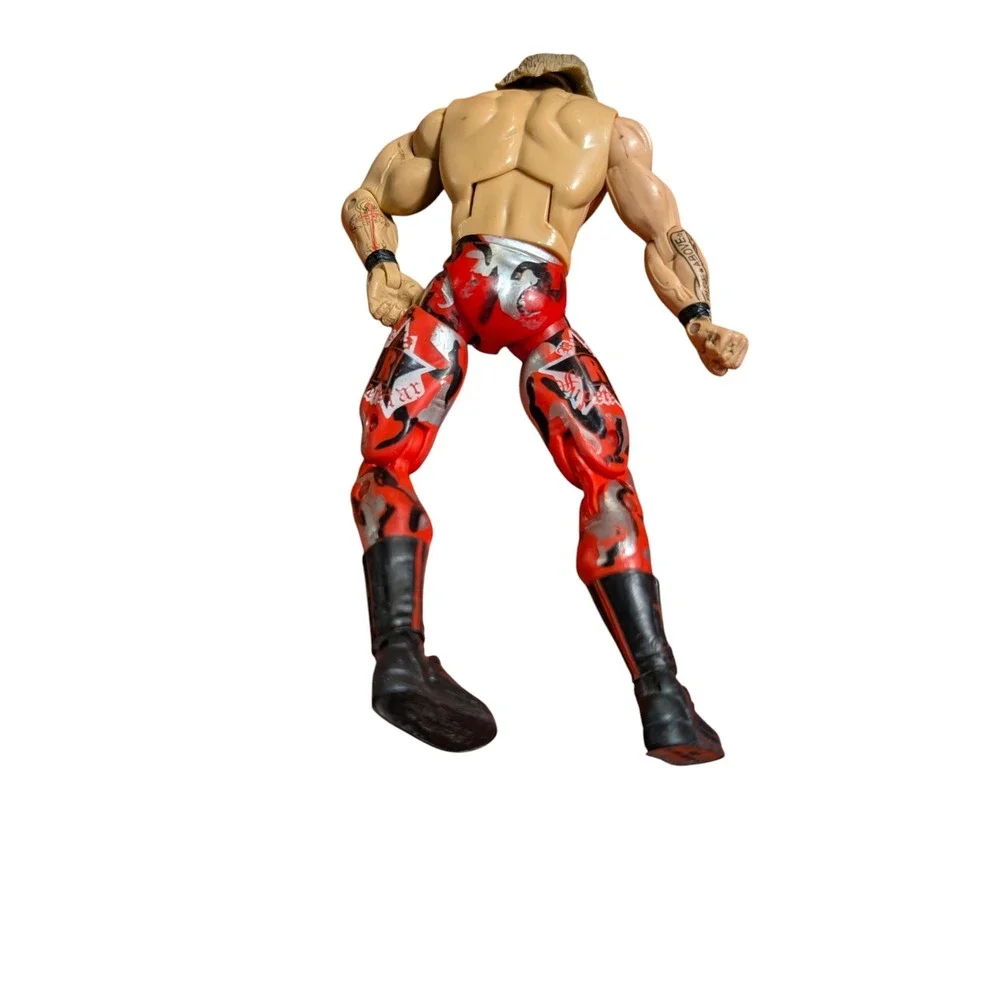 WWE superstar wrestling