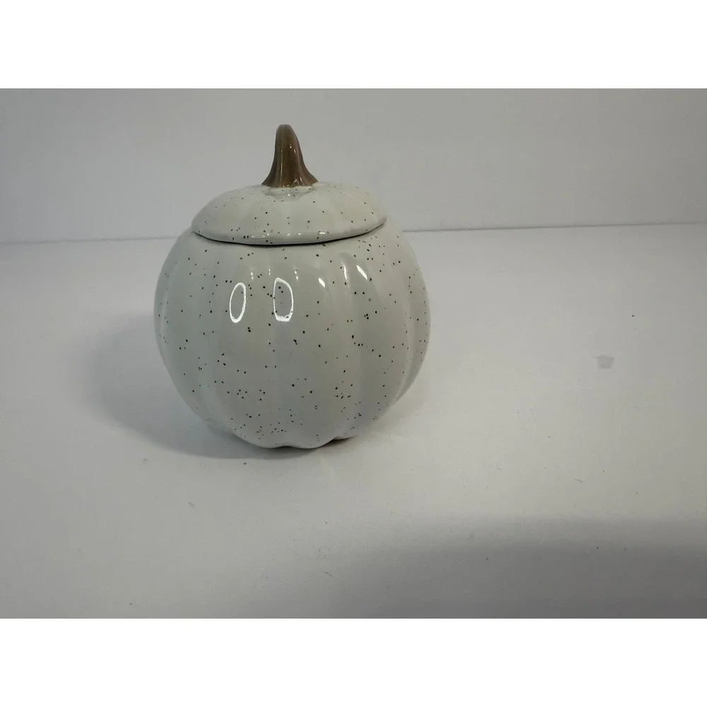 10SS Artisan Collection Speckled White Pumpkin Stoneware Lidded Jar Fall Decor