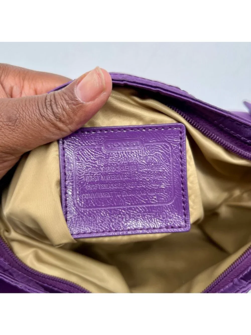 Coach carry classic