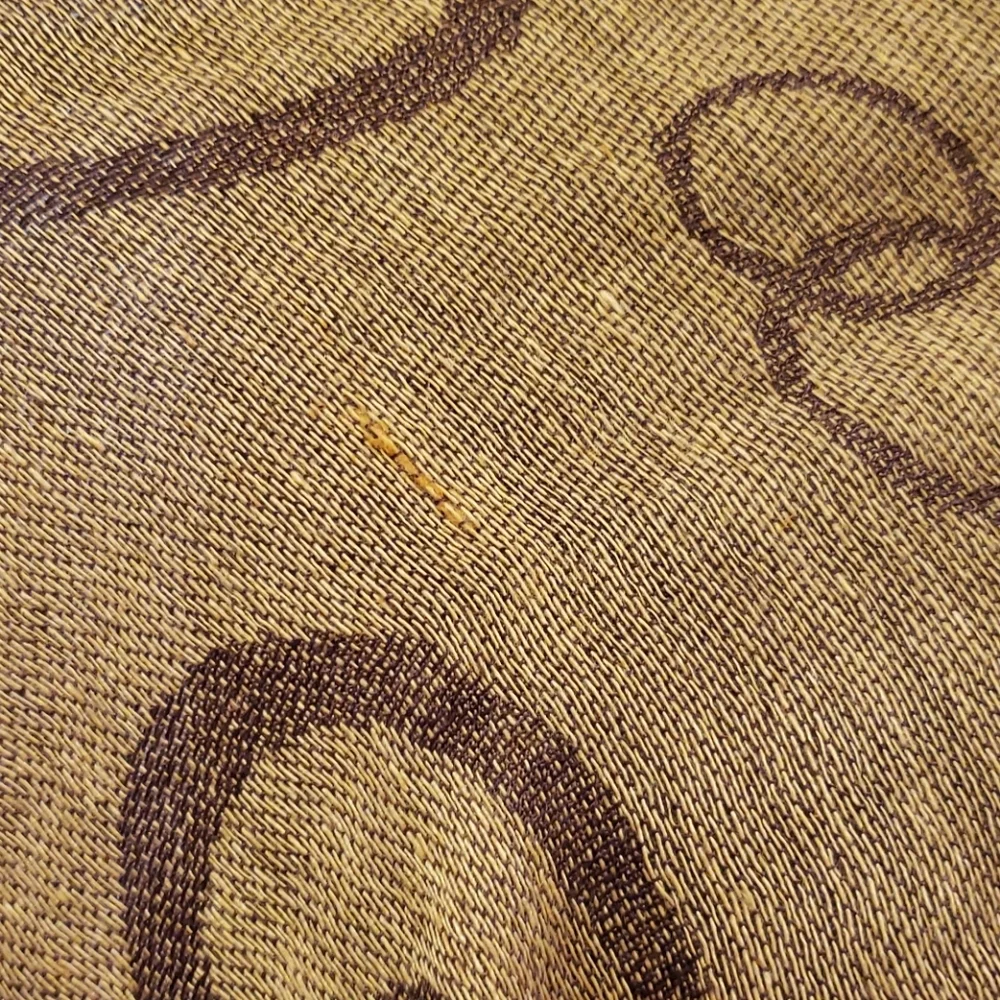 pashmina elevate any