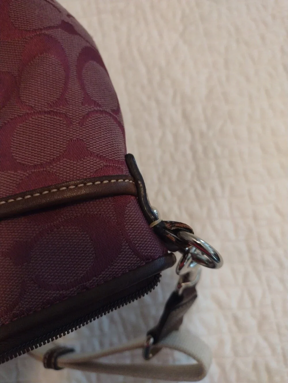 Coach purple signature