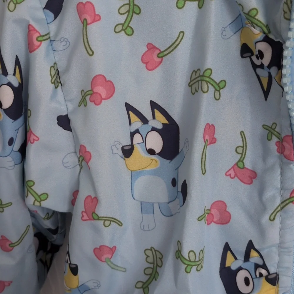 Bluey gently used
