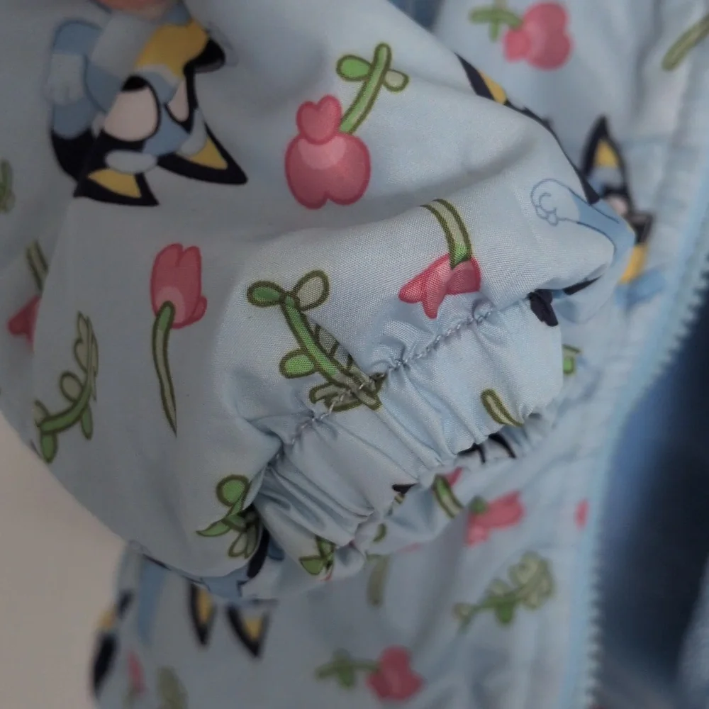 Bluey gently used
