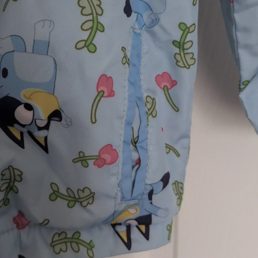 Bluey gently used