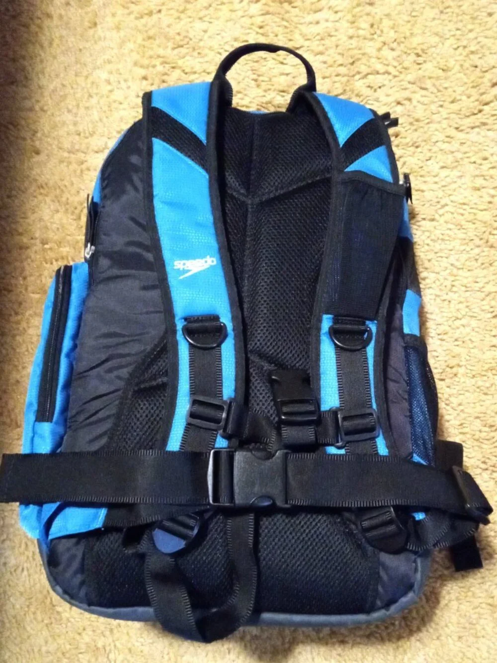 Speedo this 25l
