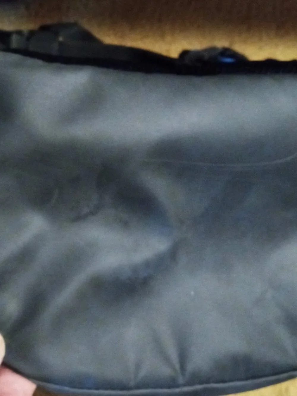 Speedo this 25l