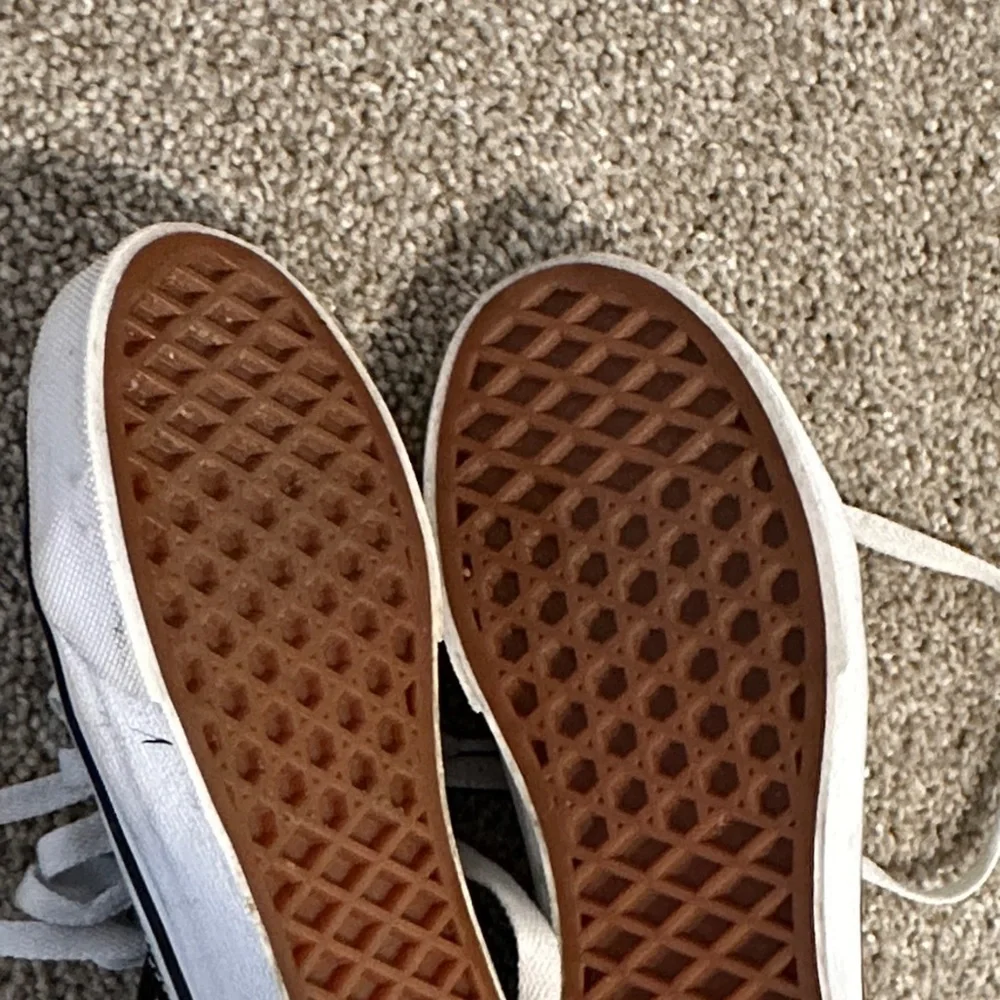Vans design be potentially