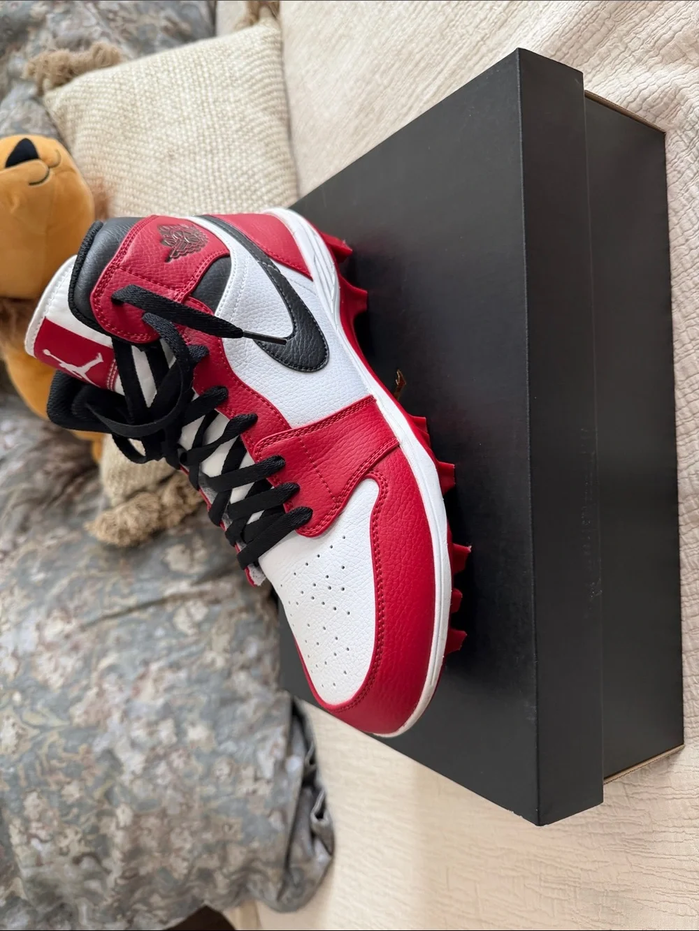 Jordan low top