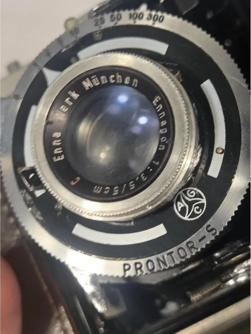 N/A brand royal