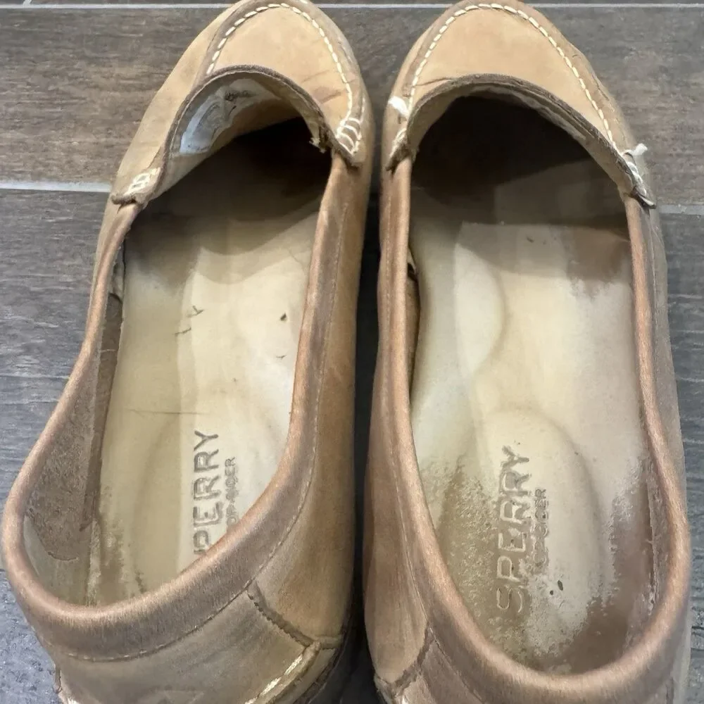 Sperry still womens obvious