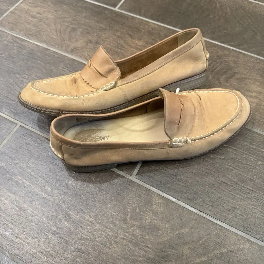 Sperry still before message