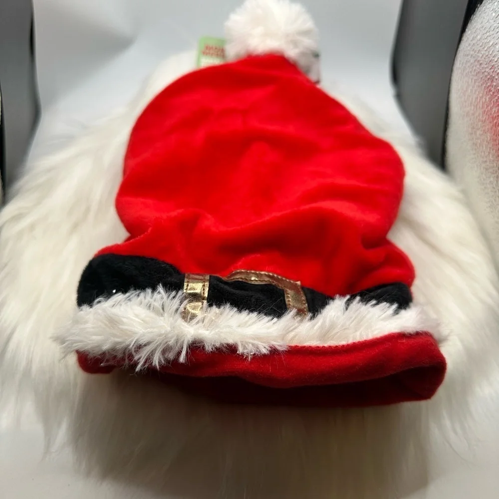 🩷5/$10 Guinea pig hideaway Red Santa Hat with Gold Buckle