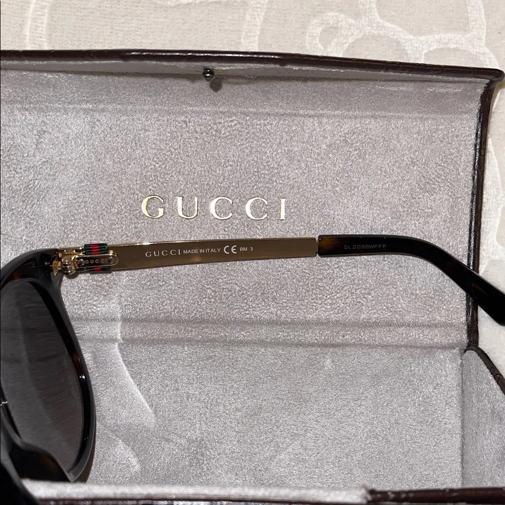 Gucci stylish cat