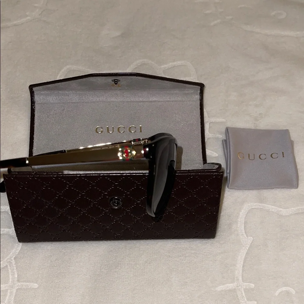 Gucci stylish cat