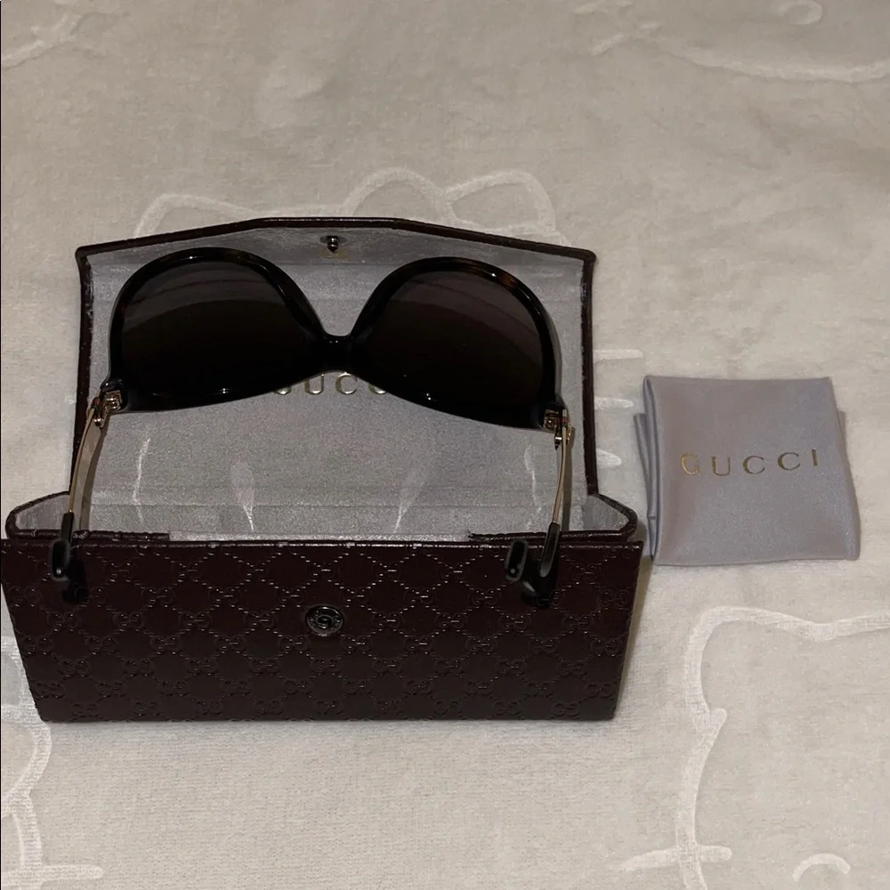Gucci stylish cat