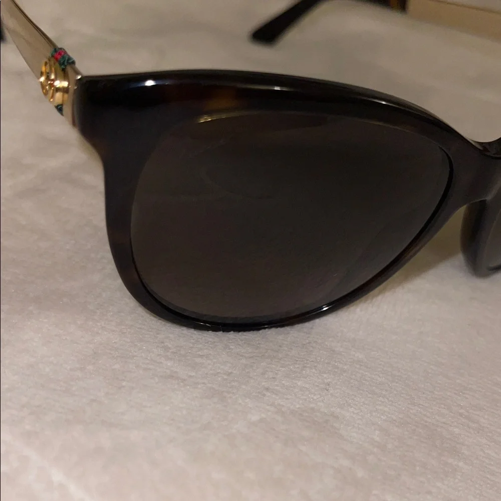 Gucci stylish cat