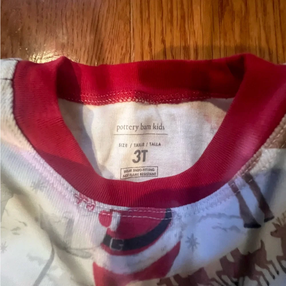 Pottery Barn Kids reindeer matching santa