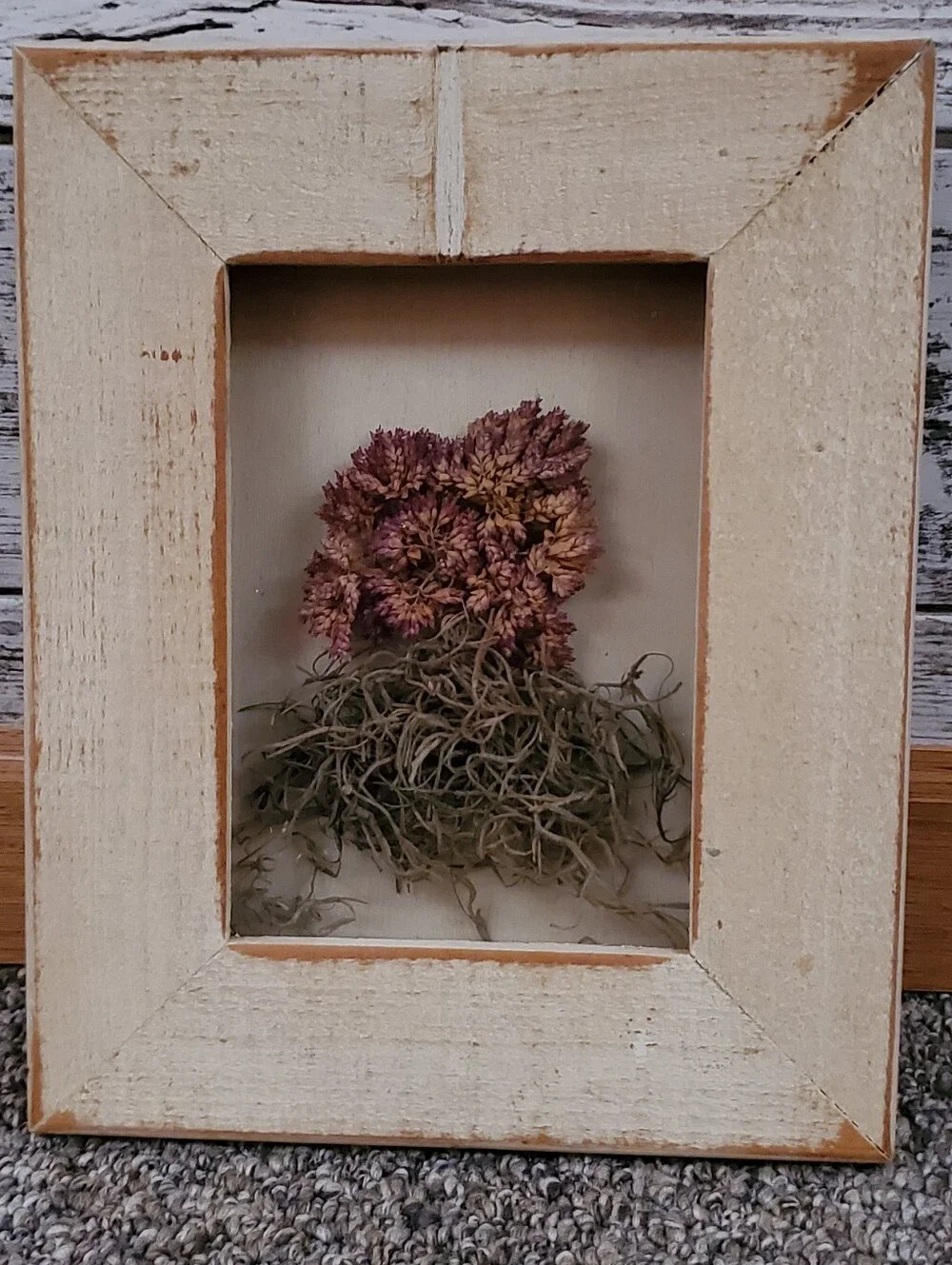 N/A 8x10 preserved