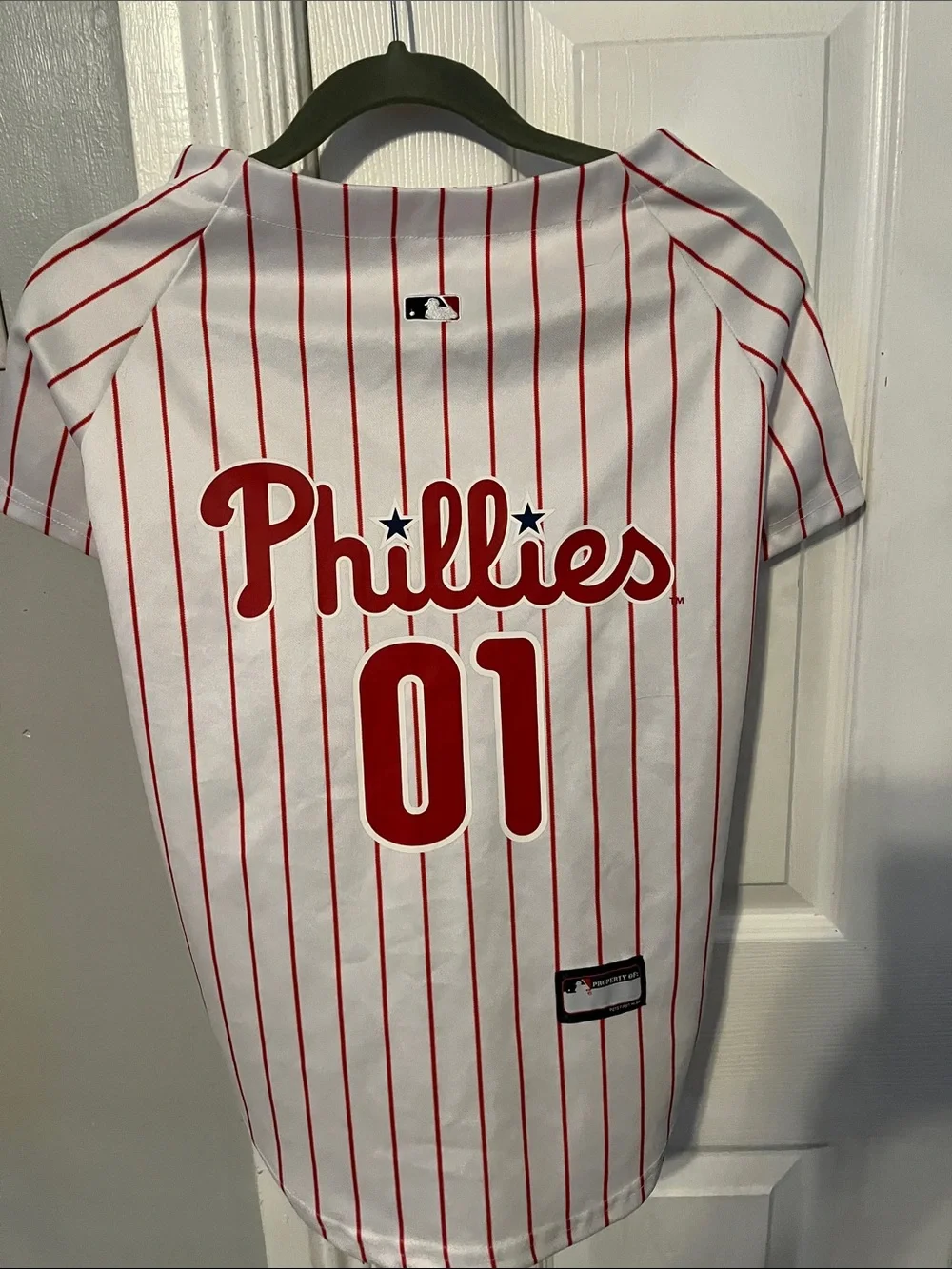 Pets First dress your