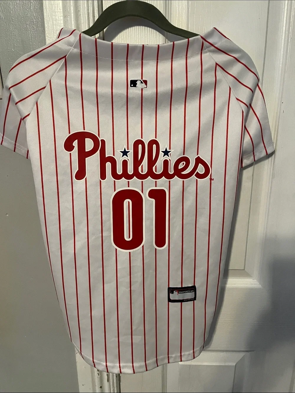 Pets First dress your
