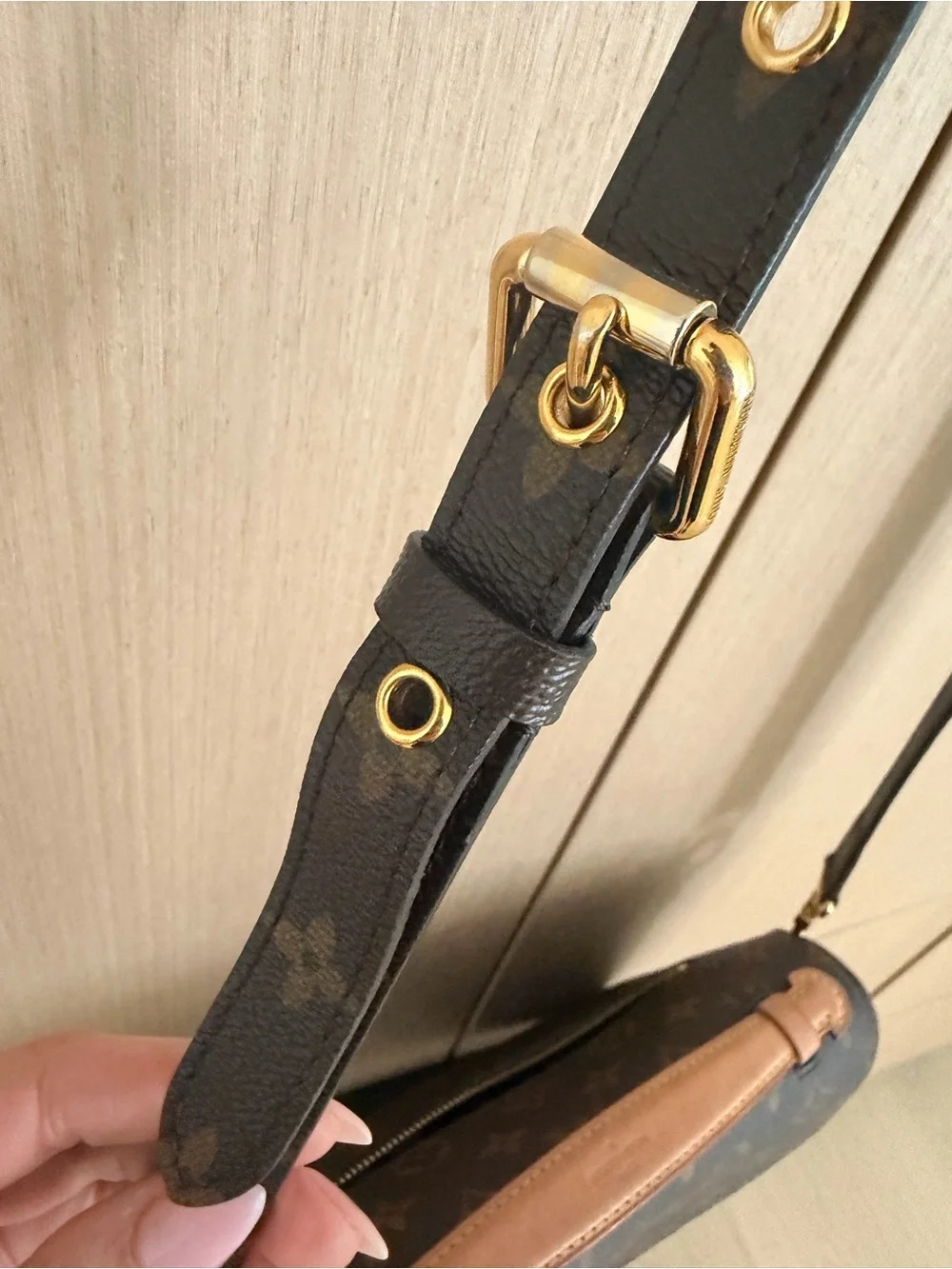 Louis Vuitton iconic monogram