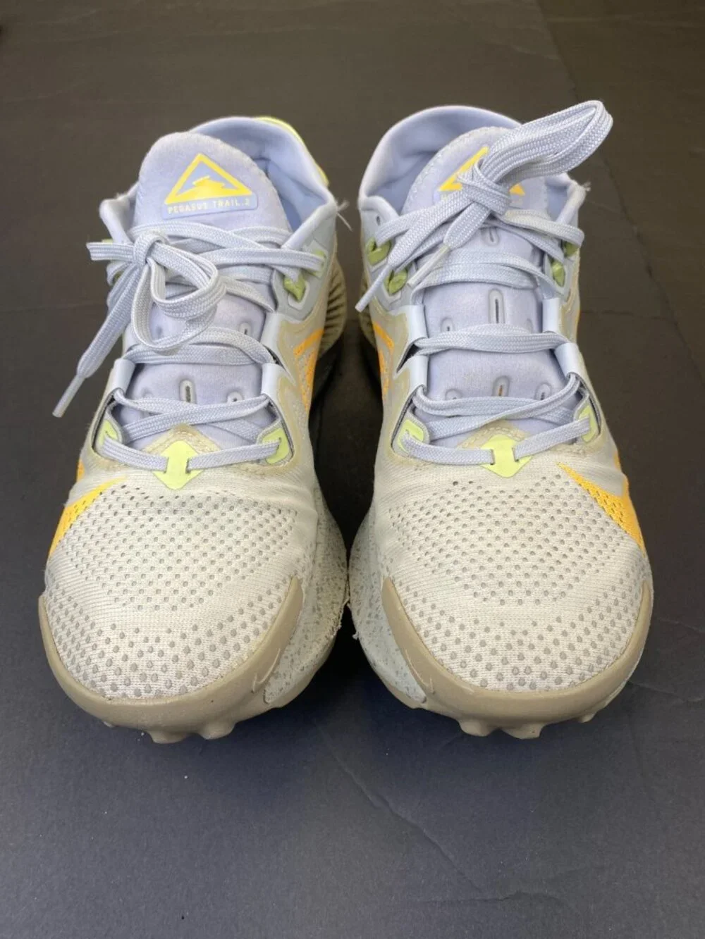 Nike pegasus trail