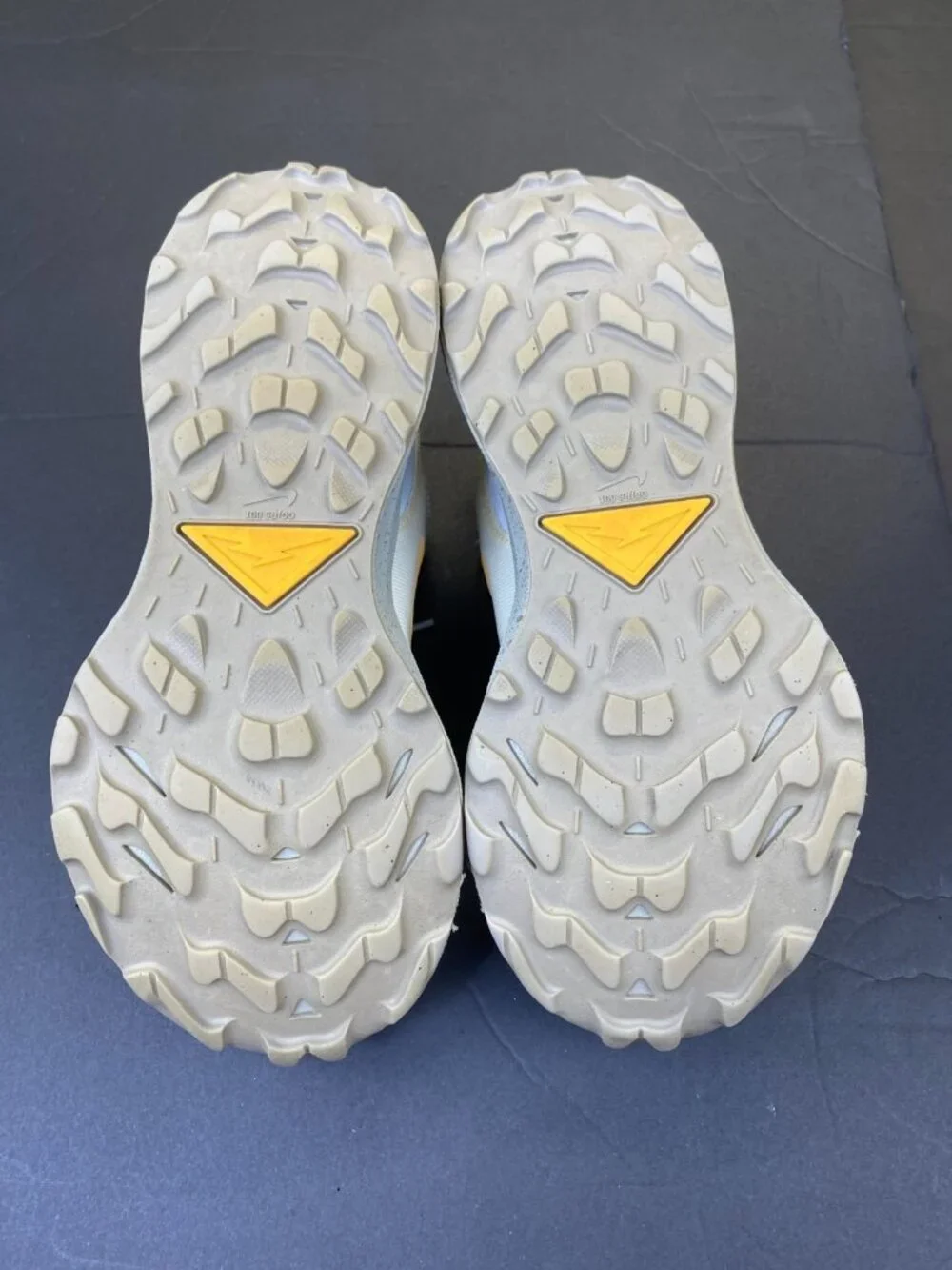 Nike pegasus trail