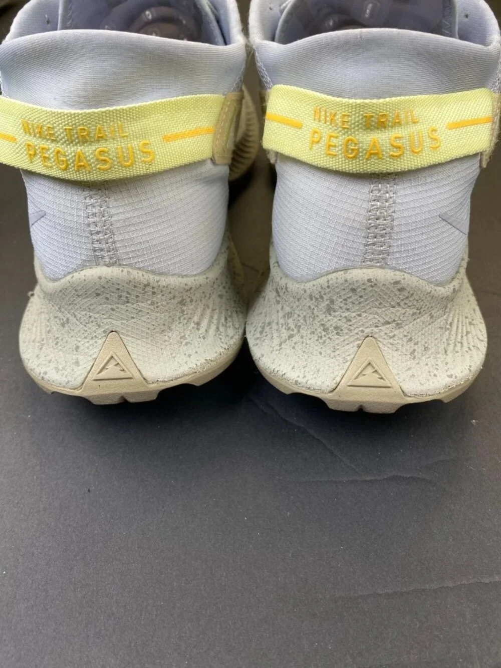 Nike pegasus trail