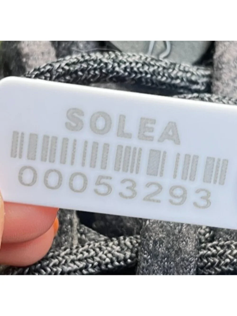 allbirds please review