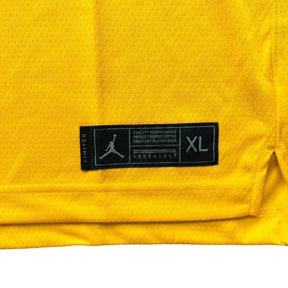 Jordan brand michigan