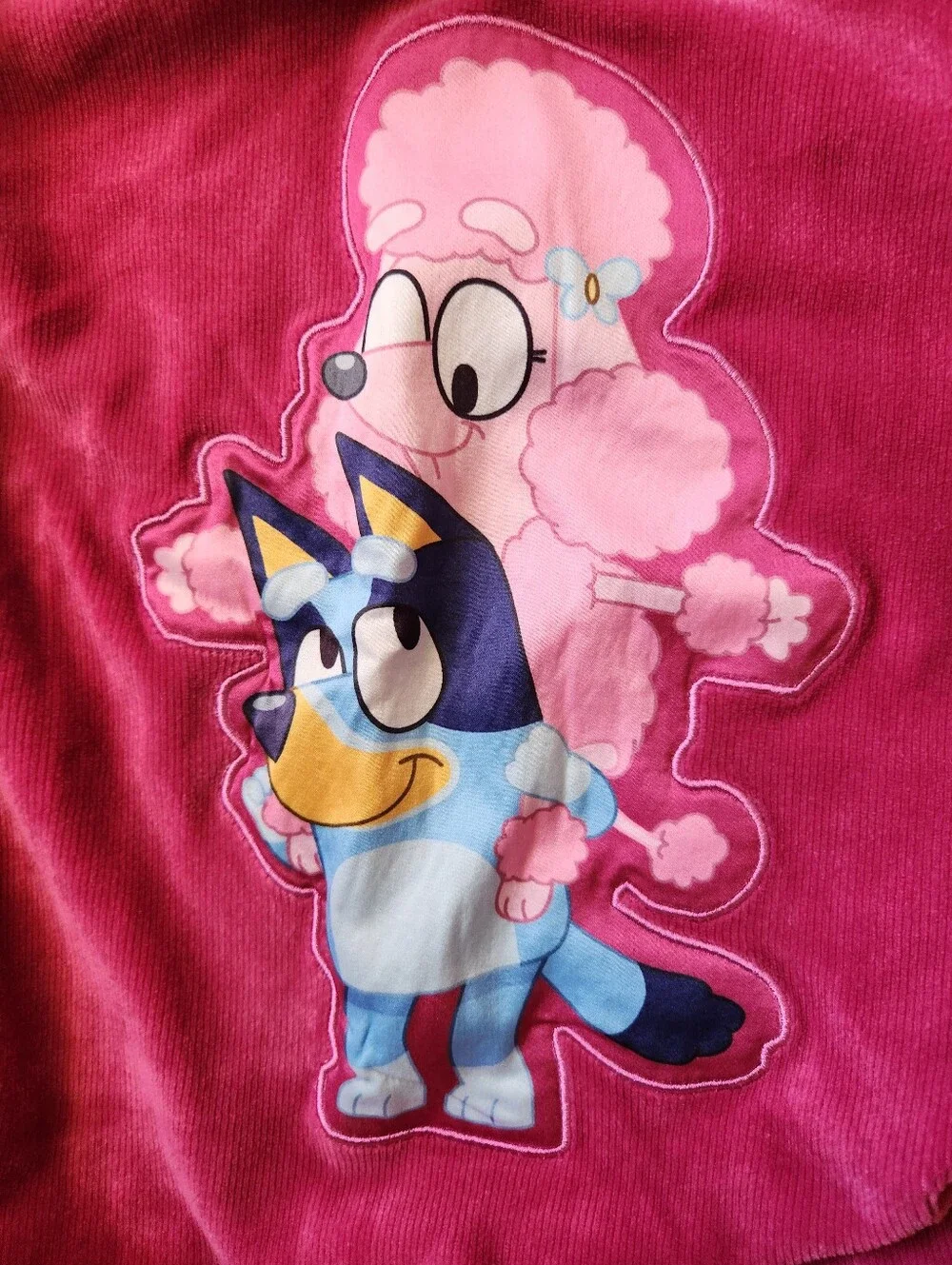 Pink Bluey Lounge Set Corduroy Style Matching Set