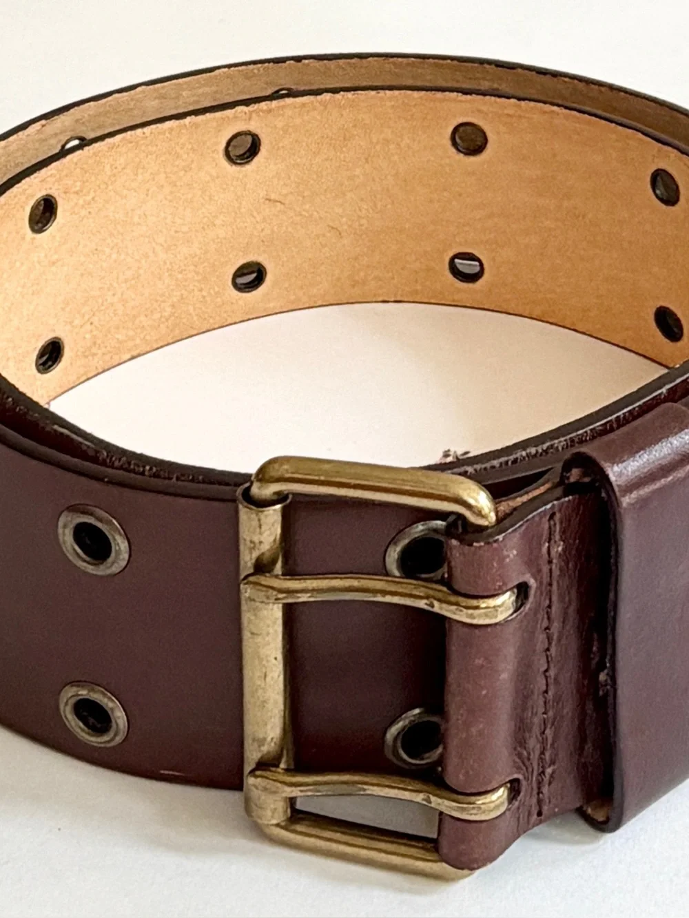 Fossil dark brown