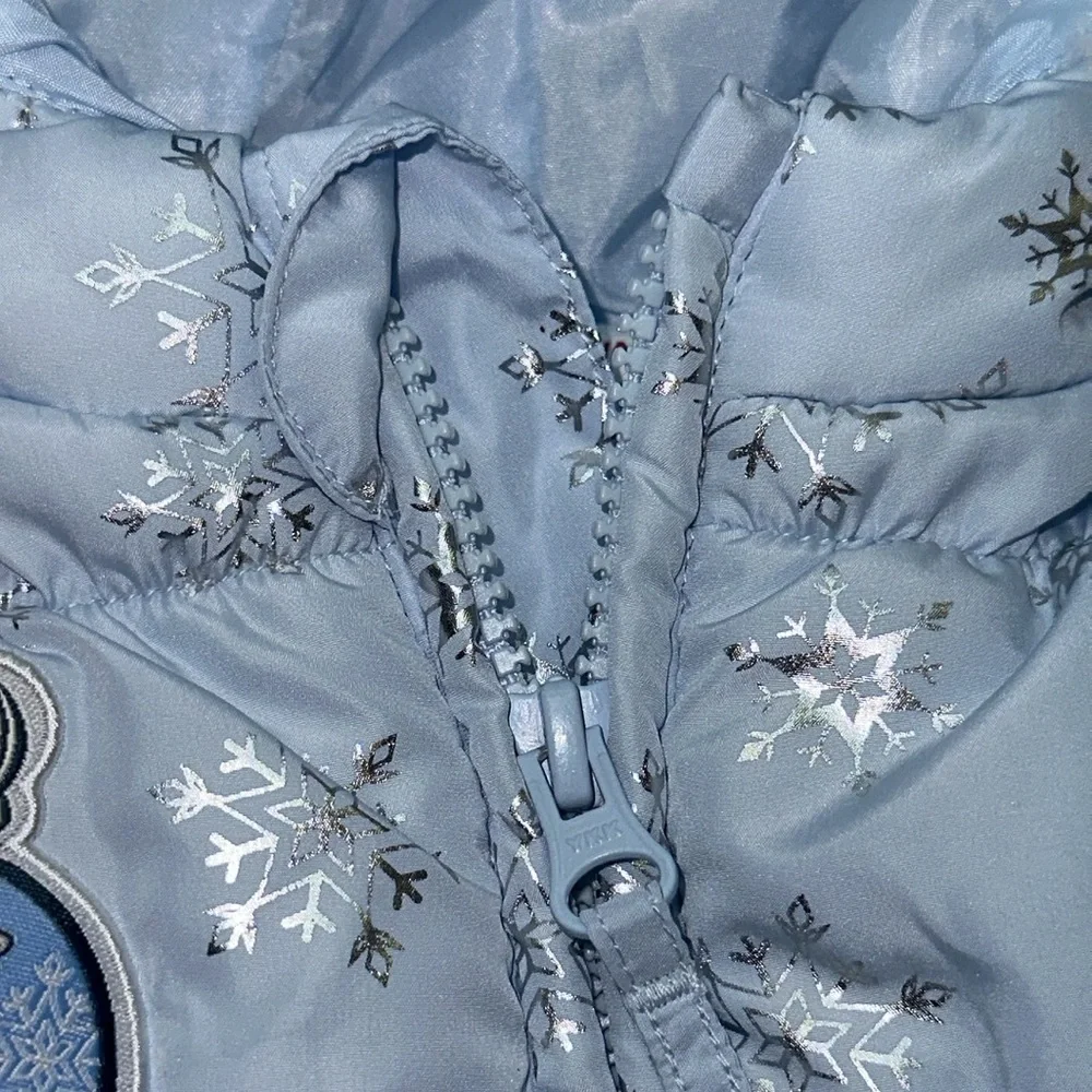 Disney snowflakes silver